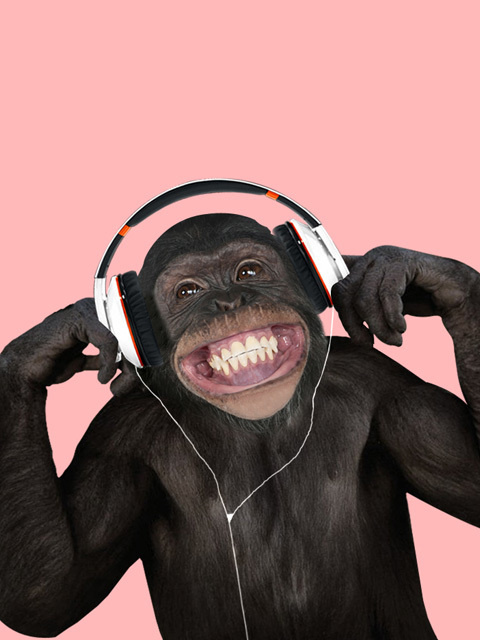 Macaco Mp3 fundo ro