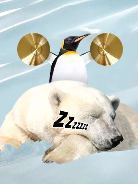 Pinguim animado e urso polar dorminhoco