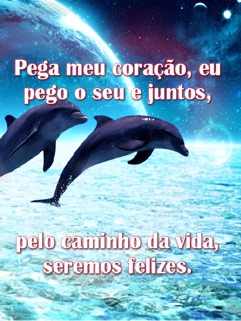 Salto dos golfinhos apaixonados