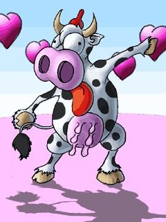 Vaquinha louca de amor