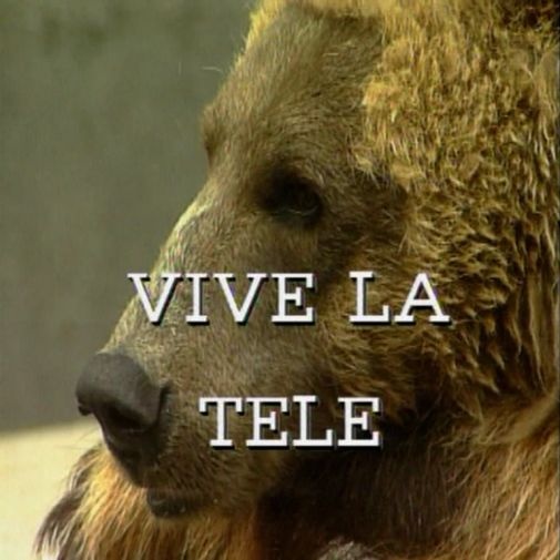 O urso bêbado traz uma TV de pedra para casa